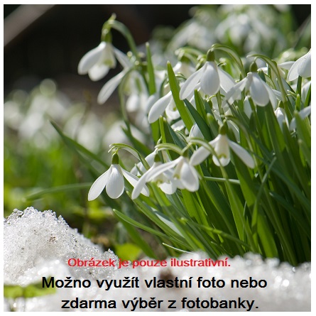 Ľubovoľný motív 400W - 800W