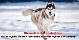 Vykurovací obraz 800W - Ľubovoľný motív